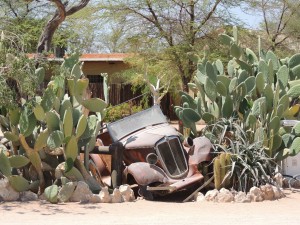 photos Afrique Australe 374