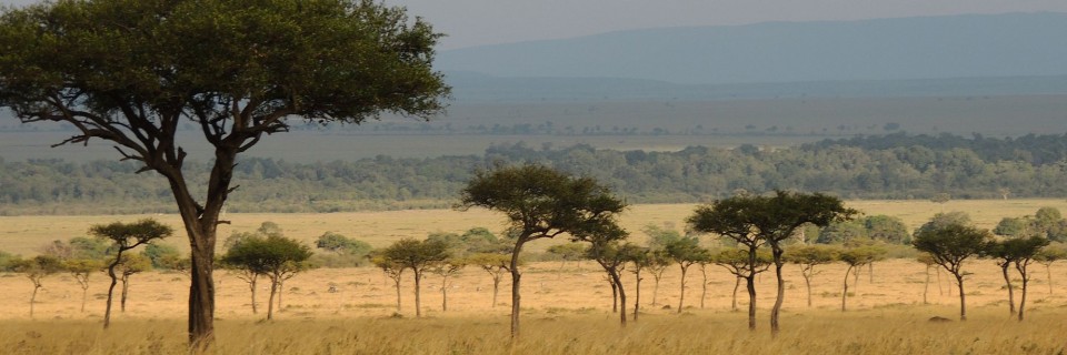 Afrique Australe 2017 : 1° étape, l’Afrique de l’Est