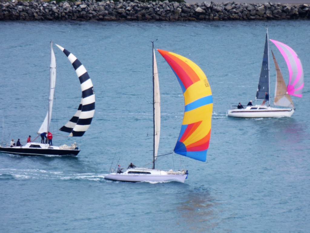 15 Régates dans la baie